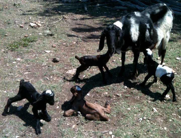 Ophillia's kids, 04/01/11